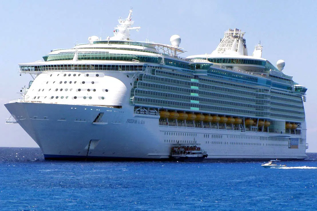 Imagen de Freedom  Of The Seas
